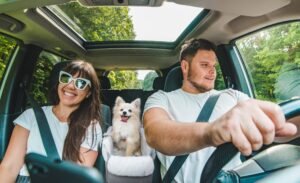 Carrying Dogs in Cars in India