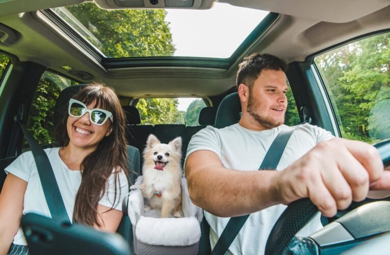 Carrying Dogs in Cars in India: Essential Safety Tips and Legal Guidelines for Pet Owners