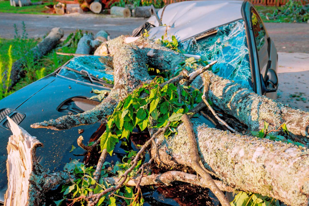 Car Insurance Claim