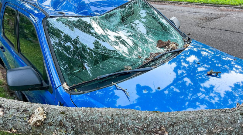 Car Insurance Claim